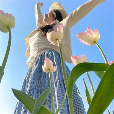 洋芋书记
